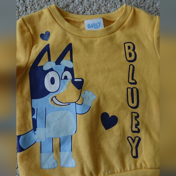 Bluey Toddler Fleece & Pants Outfit Set, 2-Piece, 3T - Picture 3 of 12